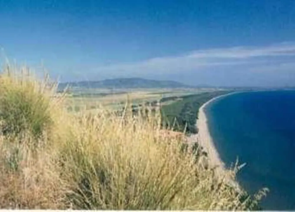 Near The Sea Flat With Terrace In Lovely Village Montiano  Montiano (Tuscany)