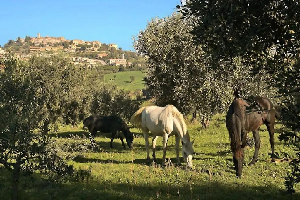 Near The Sea Flat With Terrace In Lovely Village Montiano  0*, Montiano (Tuscany) Italy